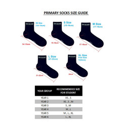 Navy Blue Socks (2 Packs)