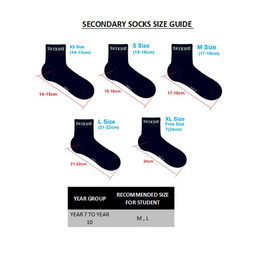 Navy Blue Socks (2 Pack)